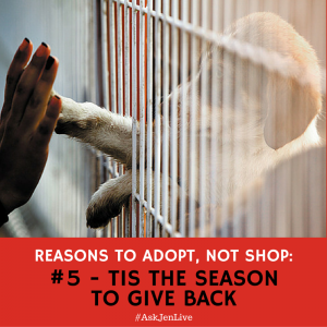 Reason #5 to #AdoptNotShop: When you adopt, rather than shop, you’re doing much more than buying a pet. You’re helping an animal in need and changing its life!