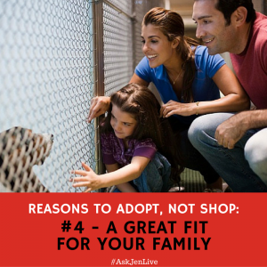 Reason #4 to ‪#‎AdoptNotShop‬: Contrary to popular belief, many pets are re-homed to the shelter with a lot of knowledge of their background. Adopting these animals help you make sure you’re getting a great addition to your family!