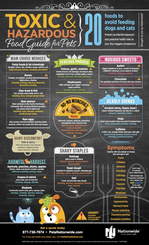 Toxic Food Guide for Pets Infographic
